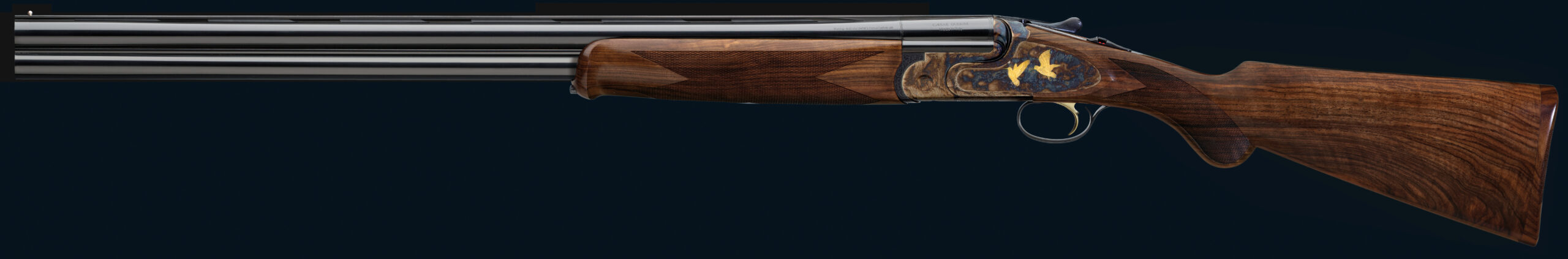 Magnus LTD 2012 cal 12(1)